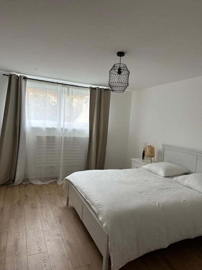 Joli Appartement Dans Une Maison Remise A Neuf Mittelhausbergen Kültér fotó